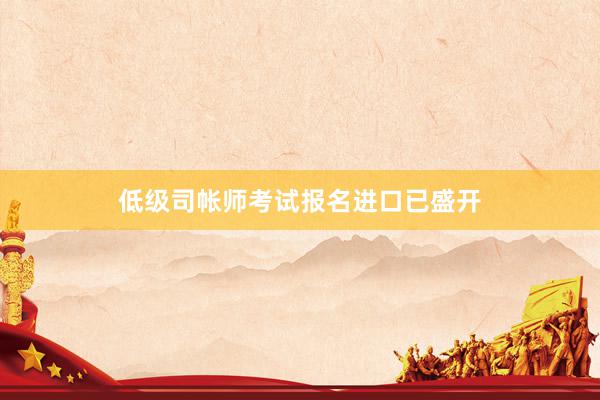 低级司帐师考试报名进口已盛开