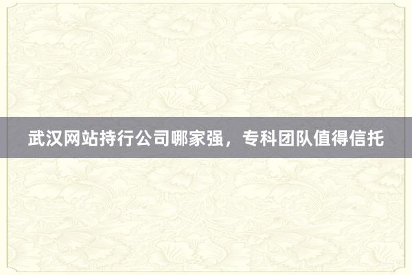 武汉网站持行公司哪家强，专科团队值得信托