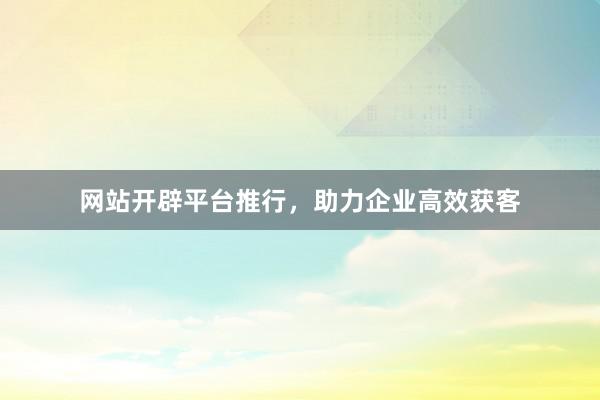 网站开辟平台推行，助力企业高效获客