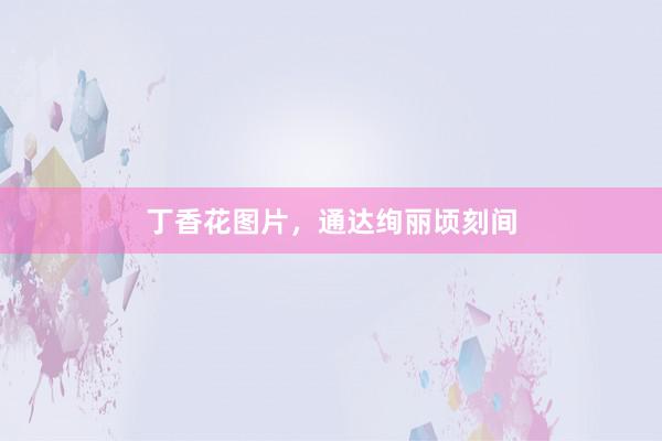 丁香花图片，通达绚丽顷刻间